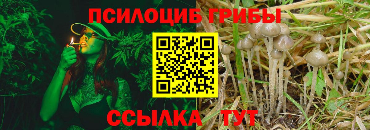Кандалакша  Галлюциногенные грибы Magic Shrooms  Вход с VPN 