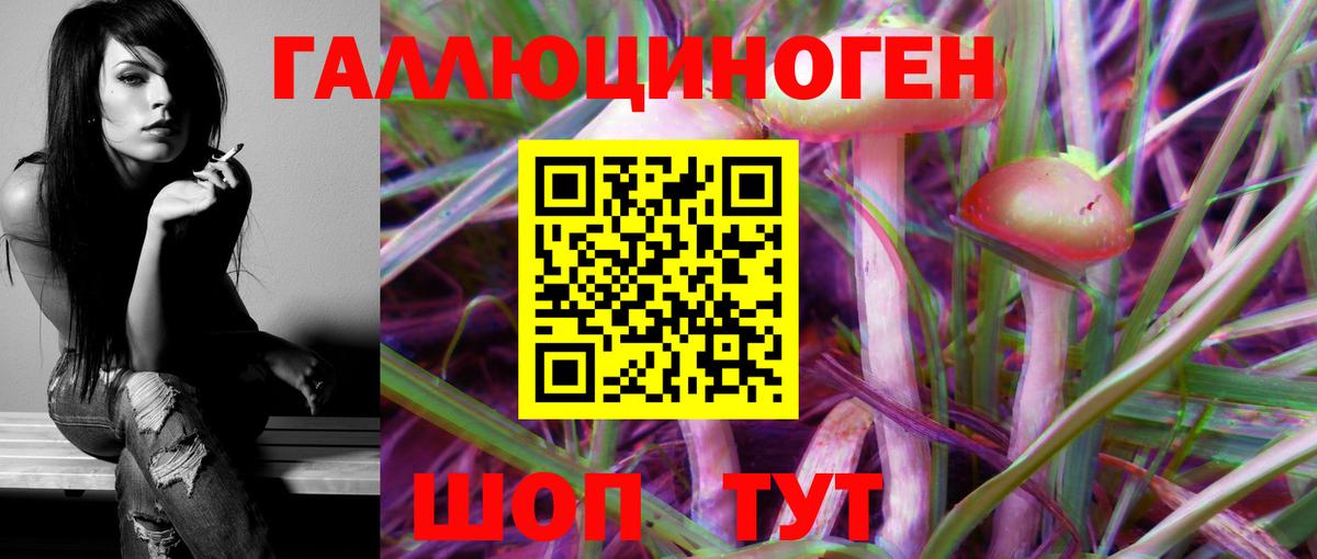 Галлюциногенные грибы GOLDEN TEACHER Кандалакша